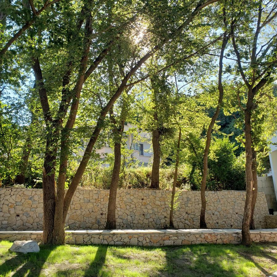 Green Hill Apartments أولتْسي المظهر الخارجي الصورة